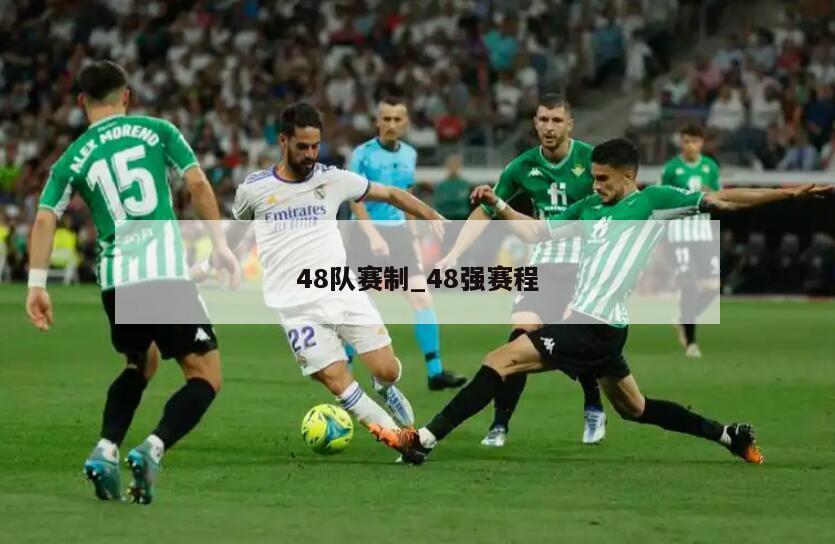48队赛制_48强赛程