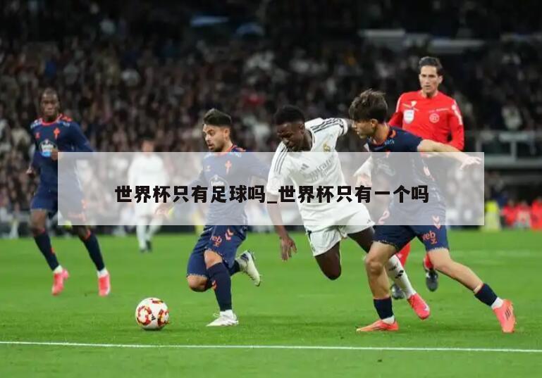 世界杯只有足球吗_世界杯只有一个吗