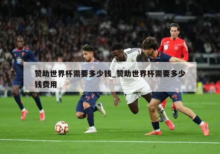赞助世界杯需要多少钱_赞助世界杯需要多少钱费用
