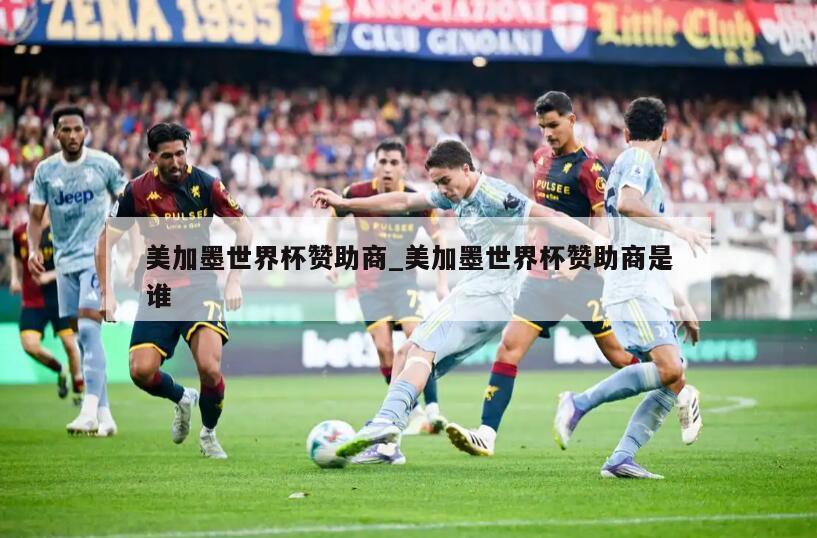 美加墨世界杯赞助商_美加墨世界杯赞助商是谁