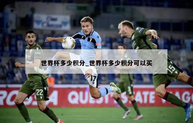 世界杯多少积分_世界杯多少积分可以买