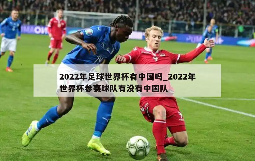 2022年足球世界杯有中国吗_2022年世界杯参赛球队有没有中国队
