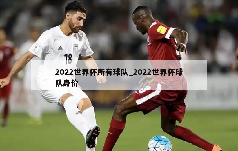 2022世界杯所有球队_2022世界杯球队身价