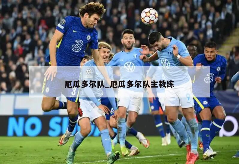 厄瓜多尔队_厄瓜多尔队主教练