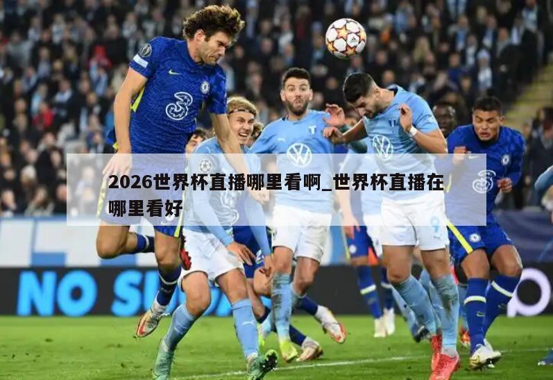 2026世界杯直播哪里看啊_世界杯直播在哪里看好