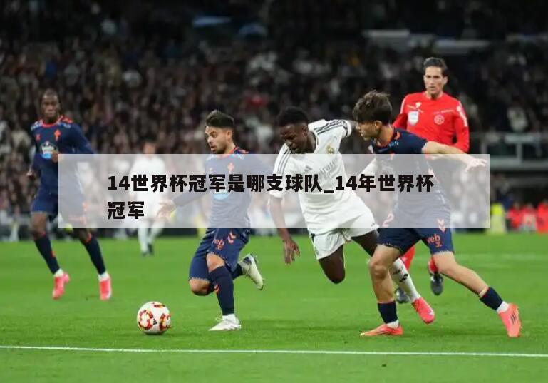 14世界杯冠军是哪支球队_14年世界杯 冠军