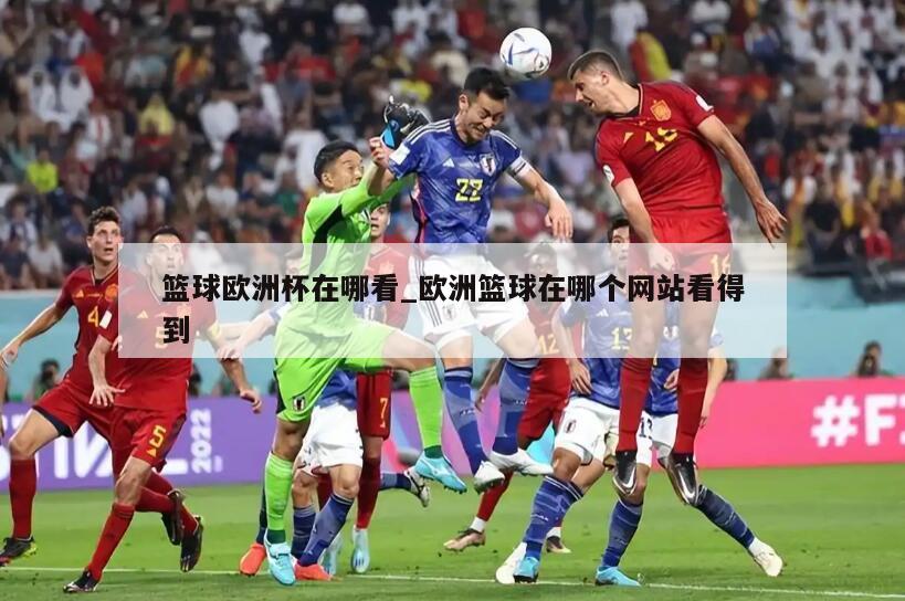 篮球欧洲杯在哪看_欧洲篮球在哪个网站看得到