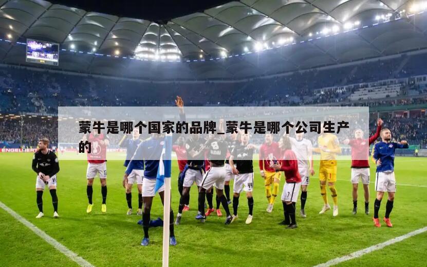 蒙牛是哪个国家的品牌_蒙牛是哪个公司生产的