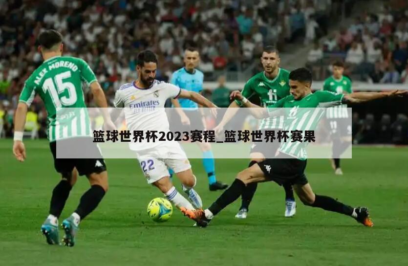篮球世界杯2023赛程_篮球世界杯赛果