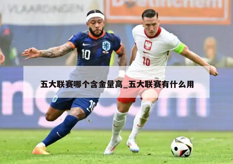 五大联赛哪个含金量高_五大联赛有什么用