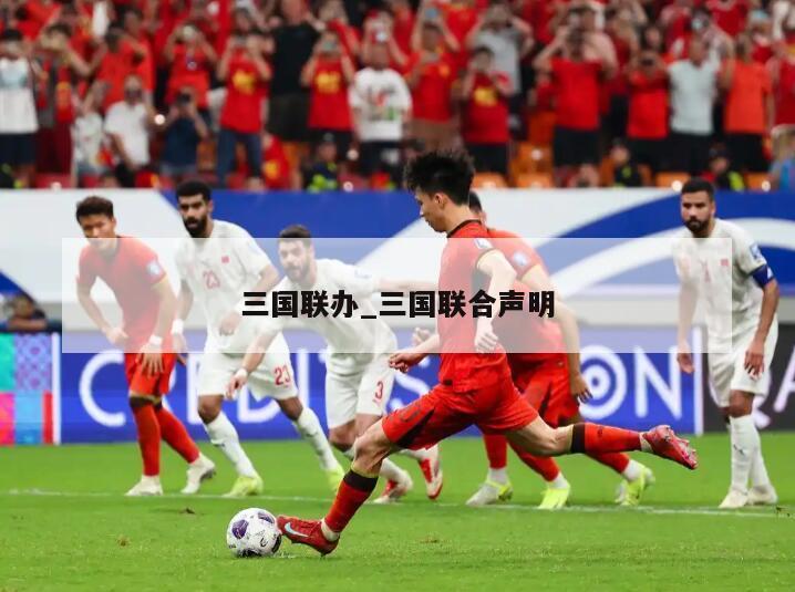 三国联办_三国联合声明