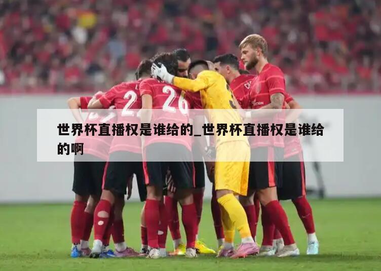 世界杯直播权是谁给的_世界杯直播权是谁给的啊