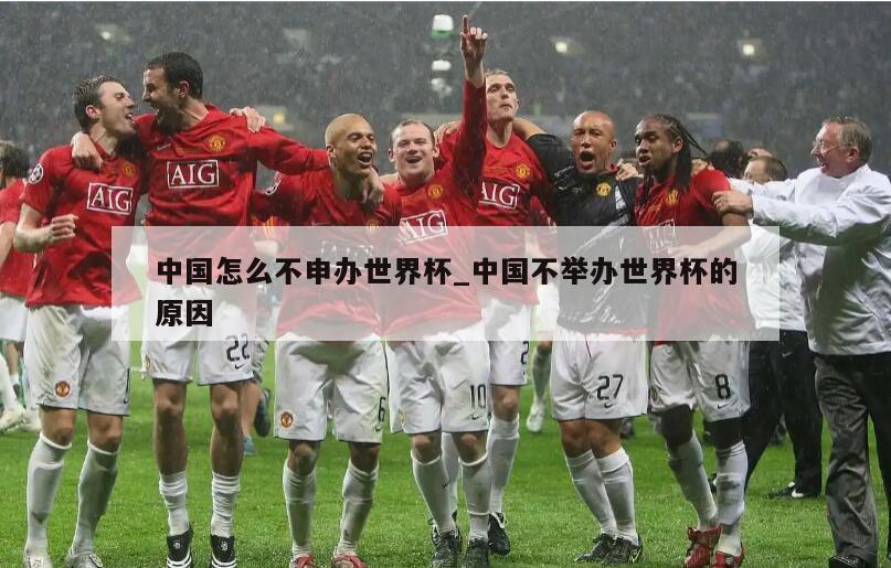 中国怎么不申办世界杯_中国不举办世界杯的原因