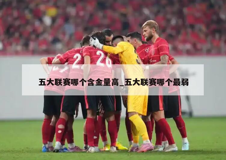 五大联赛哪个含金量高_五大联赛哪个最弱