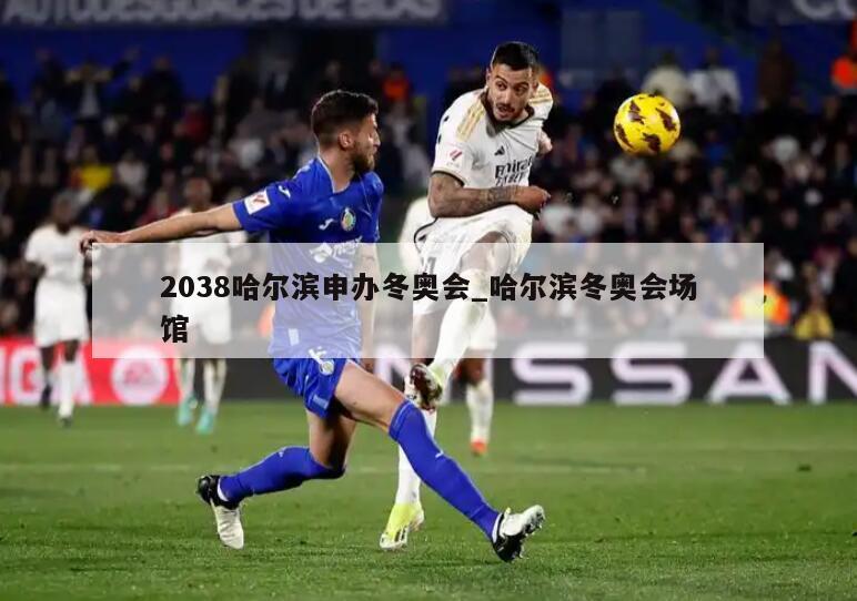 2038哈尔滨申办冬奥会_哈尔滨冬奥会场馆