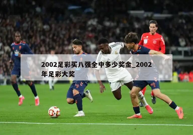 2002足彩买八强全中多少奖金_2002年足彩大奖