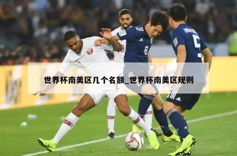 世界杯南美区几个名额_世界杯南美区规则