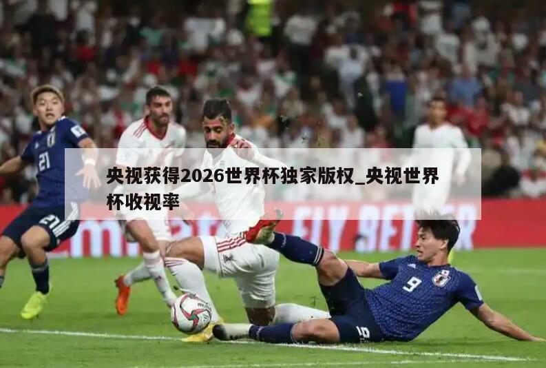 央视获得2026世界杯独家版权_央视世界杯收视率