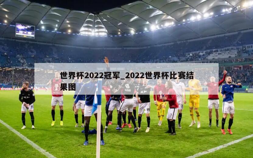 世界杯2022冠军_2022世界杯比赛结果图