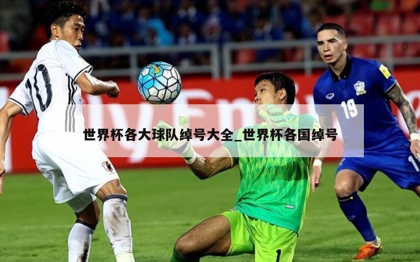 世界杯各大球队绰号大全_世界杯各国绰号