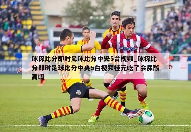 球探比分即时足球比分中央5台视频_球探比分即时足球比分中央5台视频桂元吃了会尿酸高吗