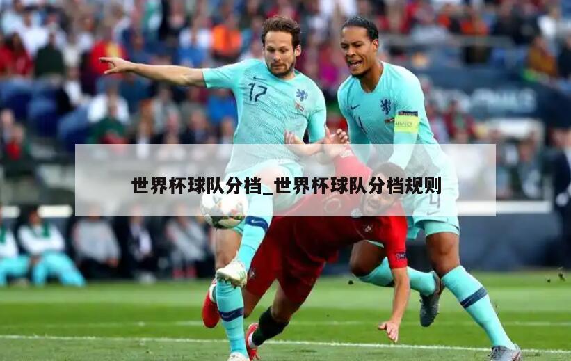 世界杯球队分档_世界杯球队分档规则