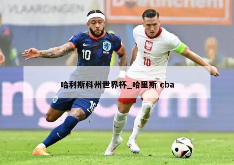 哈利斯科州世界杯_哈里斯 cba