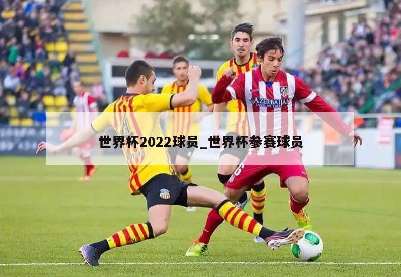 世界杯2022球员_世界杯参赛球员