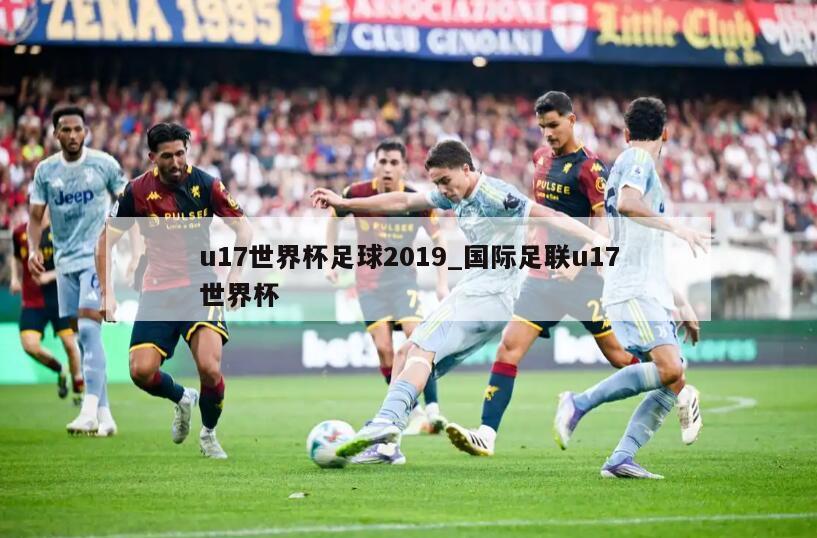 u17世界杯足球2019_国际足联u17世界杯