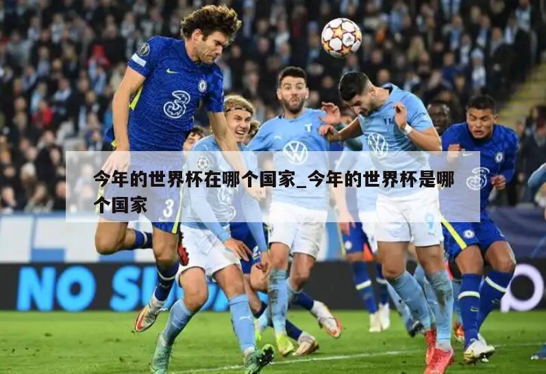 今年的世界杯在哪个国家_今年的世界杯是哪个国家