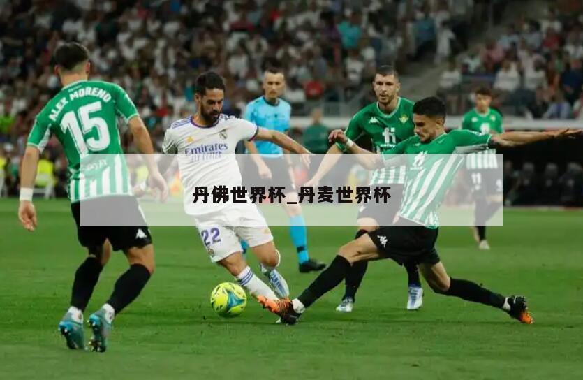 丹佛世界杯_丹麦世界杯