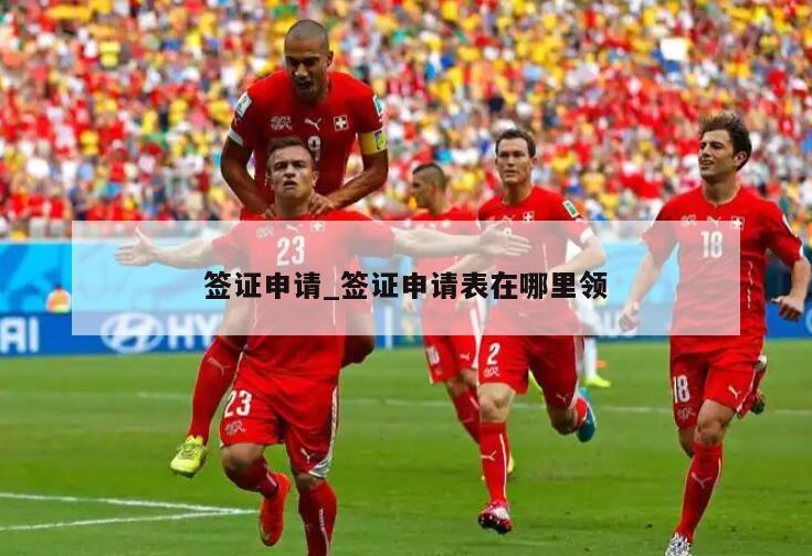 签证申请_签证申请表在哪里领