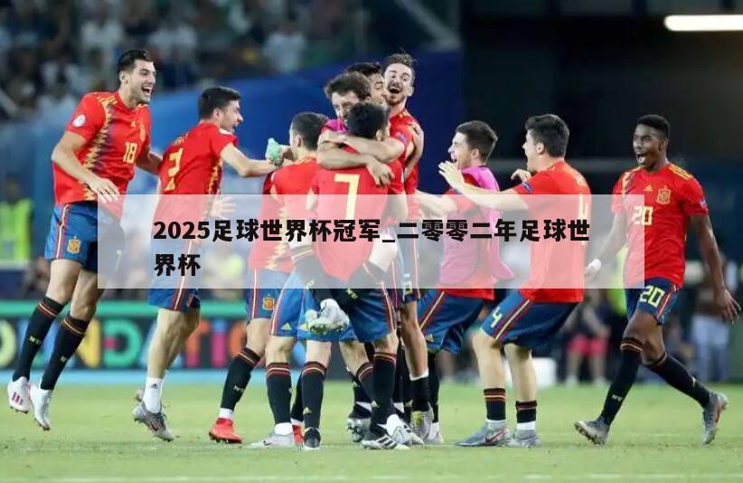 2025足球世界杯冠军_二零零二年足球世界杯